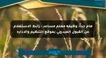 هام جداً: وظيفة معلم مساعد – رابط الاستعلام عن القبول المبدئي بموقع التنظيم والإدارة